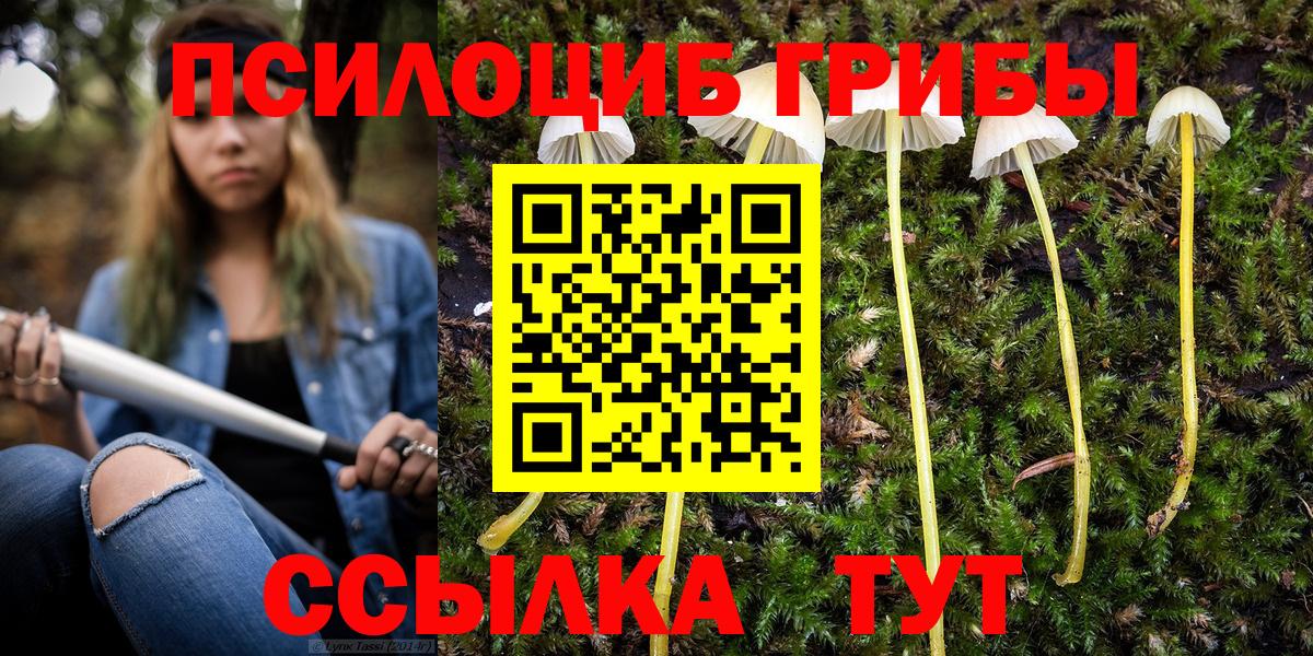 Галлюциногенные грибы мухоморы Ялуторовск